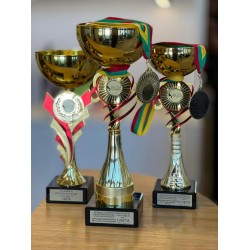 Atviras Lietuvos čempionatas 
